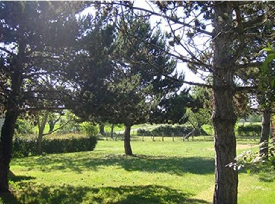 Gîtes Chez Belliveau Meursac Extérieur photo