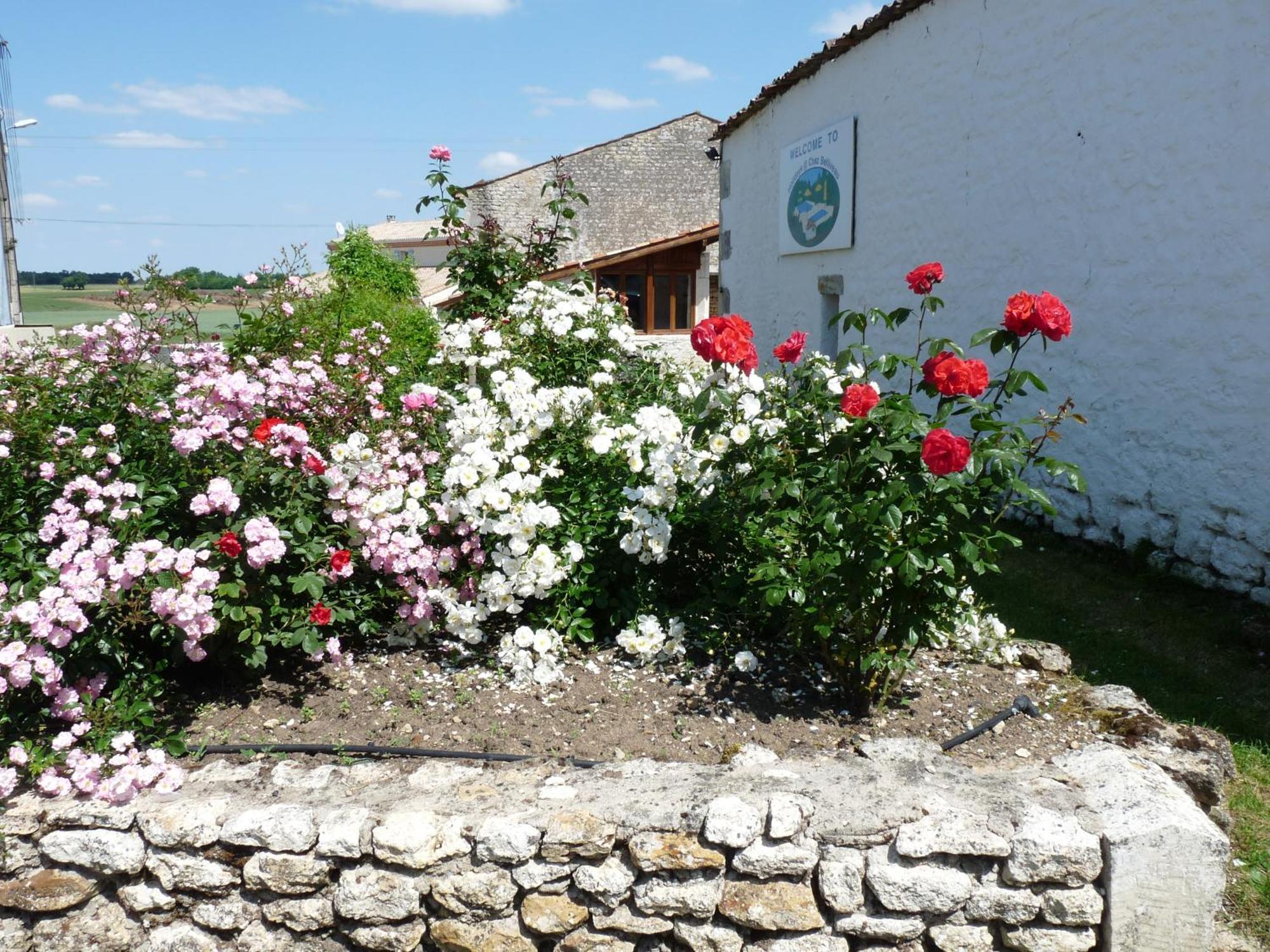 Gîtes Chez Belliveau Meursac Extérieur photo