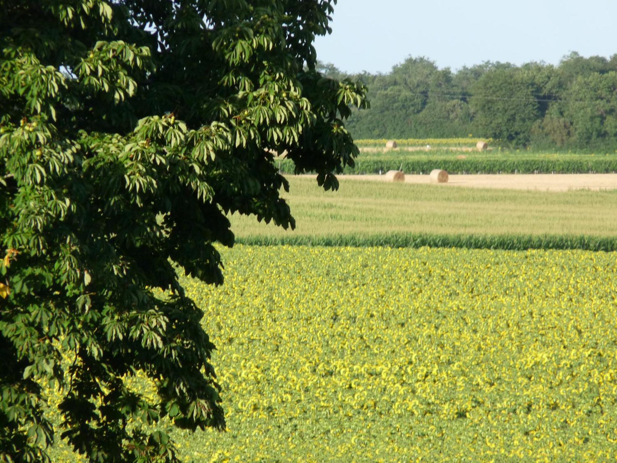 Gîtes Chez Belliveau Meursac Extérieur photo